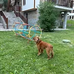 Raikov شقة فندقية 3*