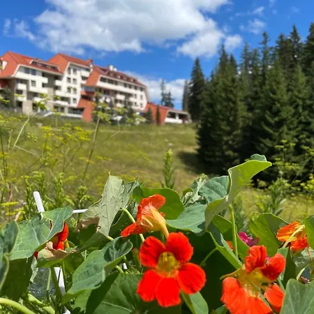 Raikov 3* Pamporovo