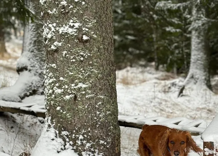 Aparthotel Raikov 3*