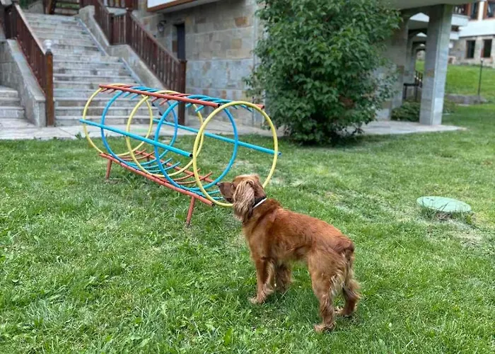 Raikov Aparthotel 3*