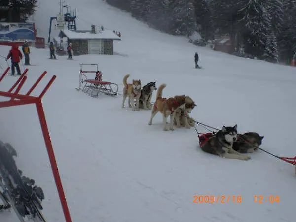 Raikov Aparthotel 3*